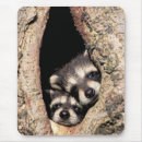 Recherche de raton tapis souris Créatures des bois