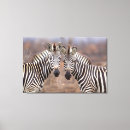 Recherche de couleur zèbre posters Jour