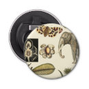 Recherche de tortue ouvre bouteilles Animaux