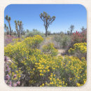 Suche nach mojave untersetzer San bernardino landkreis