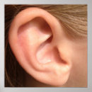 Suche nach nacke poster Kopf