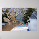 Suche nach vegetarier poster Niedlich