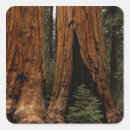 Suche nach riesen aufkleber Park