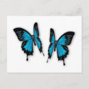 Recherche de papillon tropical cartes postales Bleu
