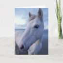 Suche nach camargue karten Ranch