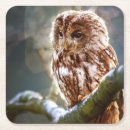 Suche nach lustige eulen untersetzer Niedlich