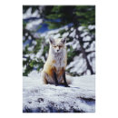Recherche de pittoresque posters Faune