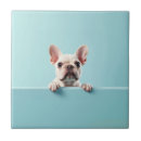 Suche nach bulldog fliesen Tiere