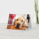 Suche nach sich hinlegen karten Hund
