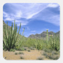 Recherche de pipe autocollants Arizona