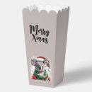Suche nach koala weihnachten Australien