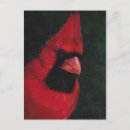 Suche nach rote flügel postkarten Vögel