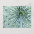 Recherche de micro cartes postales Nature
