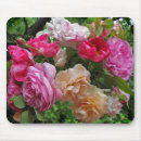 Suche nach antike rosen mousepads Botanisch