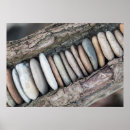 Recherche de steins posters Natur