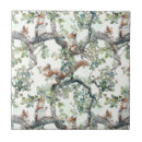 Recherche de écureuil carreaux Motif