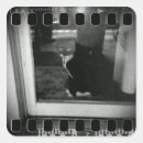 Suche nach lucy aufkleber Katze