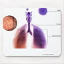 Recherche de organes internes tapis souris Vue