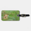 Recherche de lion de bébé accessoires Faune