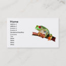 Suche nach baumfrosch Roter mit augen baumfrosch