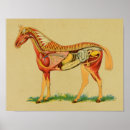 Suche nach farm animals poster Horse