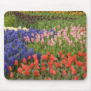 Recherche de lisse tapis souris Rouge