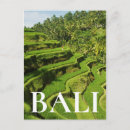Suche nach bali poster Reisfelder
