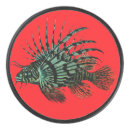 Recherche de poissons de lion Océan