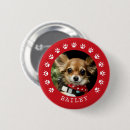 Recherche de empreinte pour chien badges Pour animaux