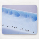 Suche nach pinguine mousepads In voller länge