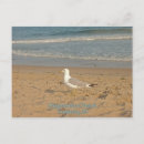 Recherche de mouettes cartes postales Plages