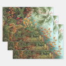Suche nach ernst haeckel geschenkpapier Ernhaeckel