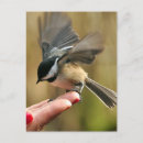 Recherche de vernis cartes postales Rouge
