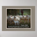 Suche nach wissen poster Christentum