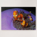 Suche nach clownfische puzzle Meeresleben