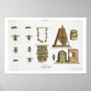 Suche nach imkerei poster Insekten