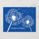 Suche nach dandelions postkarten Pflanze