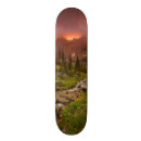 Recherche de fleur du soleil skateboards Lever de soleil