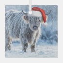 Suche nach niedliches kalb ornamente Schnee