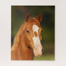 Suche nach kastanien puzzle Tier