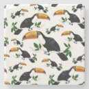 Recherche de toucans dessous de verres Jungle