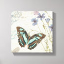 Suche nach insekten leinwandbilder Blau