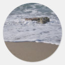 Recherche de rivage de plage autocollants Vague