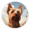 Recherche de chiot de terrier de yorkshire Adorable