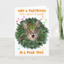 Suche nach katzenbilder karten Kitty