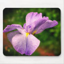 Suche nach japanische blume mousepads Floral