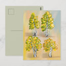 Recherche de bouleau cartes postales Botanique