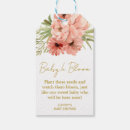 Suche nach zinnia Blume