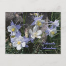 Recherche de columbine cartes postales Colorado