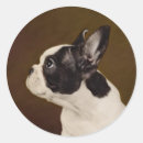 Recherche de chien bouledogue autocollants Français